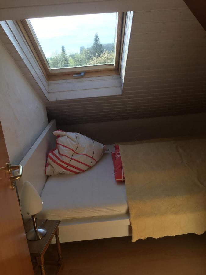 Ferienwohnung Nett Adenau Εξωτερικό φωτογραφία
